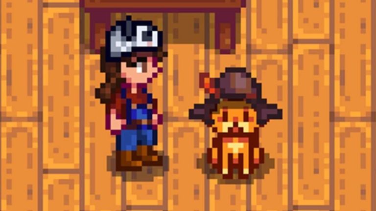 Stardew Valley 1.6 Update: Fix Performance Issues by Removing Pet Hats